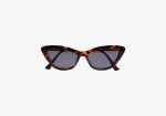 Tinted Sunglasses test
